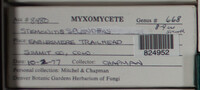 Image Associated With the Occurence